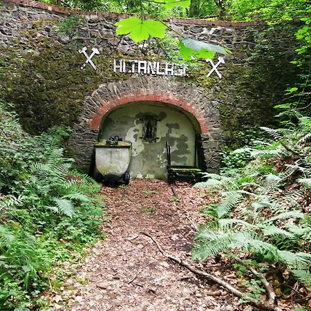 Ferienhaus 30 Am Silbersee Frielendorf Kültér fotó